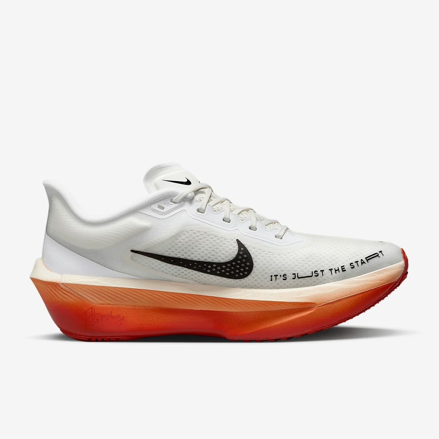 Tênis Nike Zoom Fly 6 - Eliud Kipchoge Pack